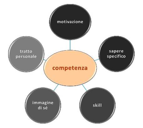 competenza 460